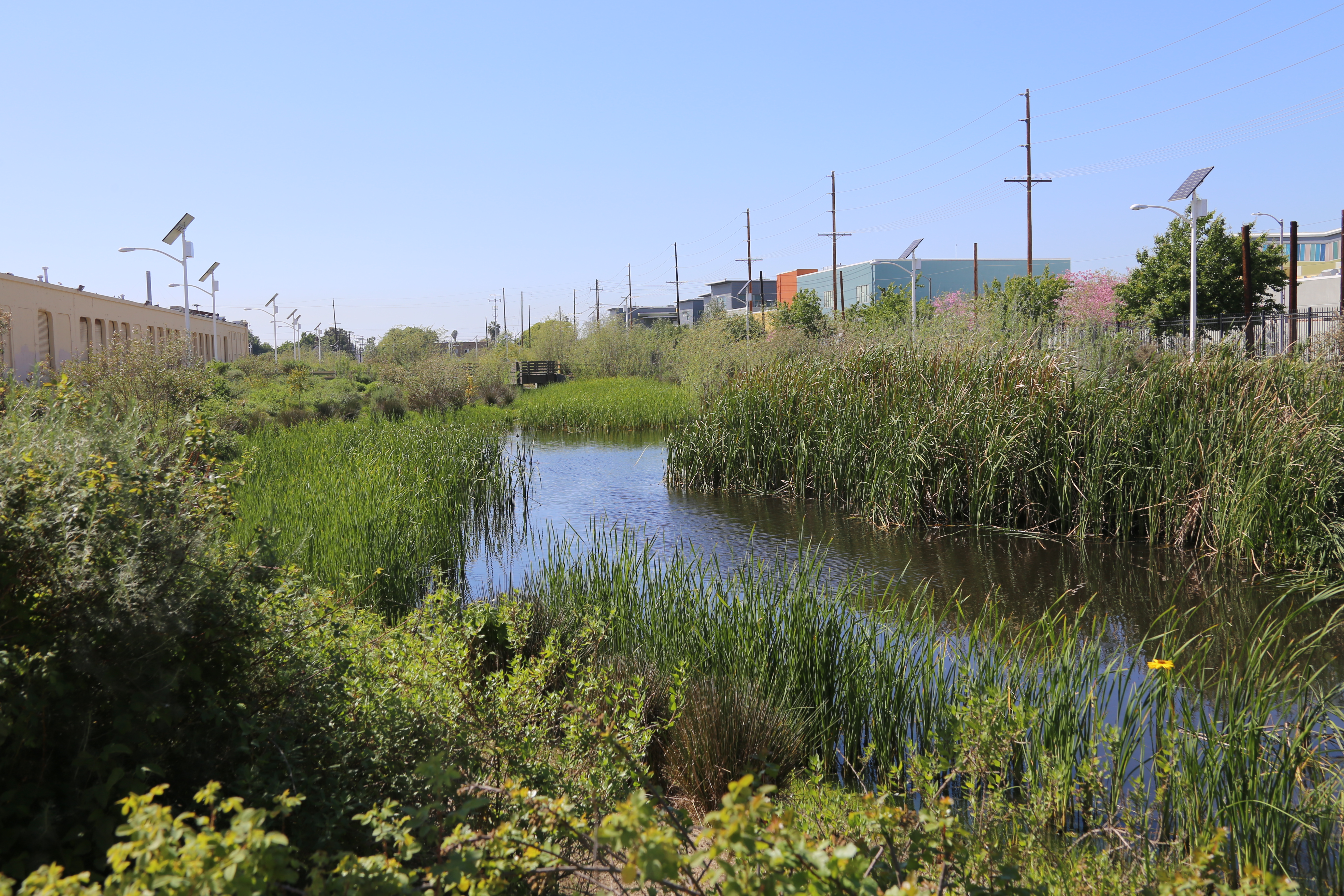 South LA Wetlands