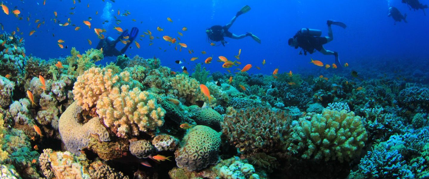 Mike Bloomberg | A Global Plan To Save Coral Reefs From Extinction